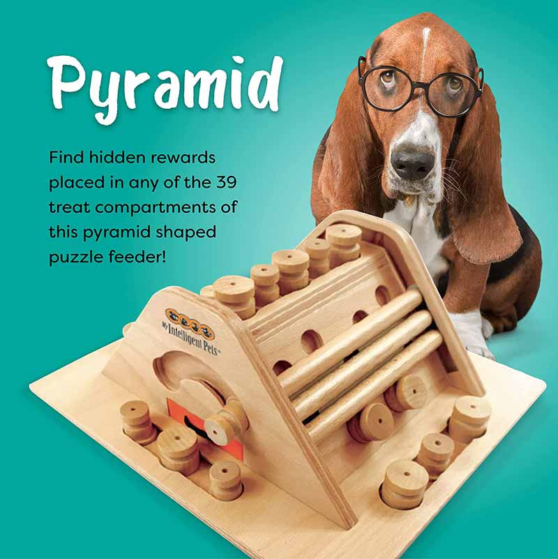 My Intelligent Pets Interactive Puzzle Game - Pyramid - CreatureLand