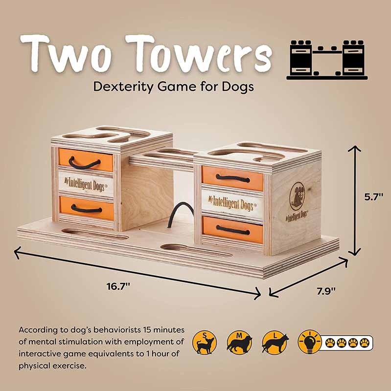 My Intelligent Pets Interactive Puzzle Game - Two Towers - CreatureLand