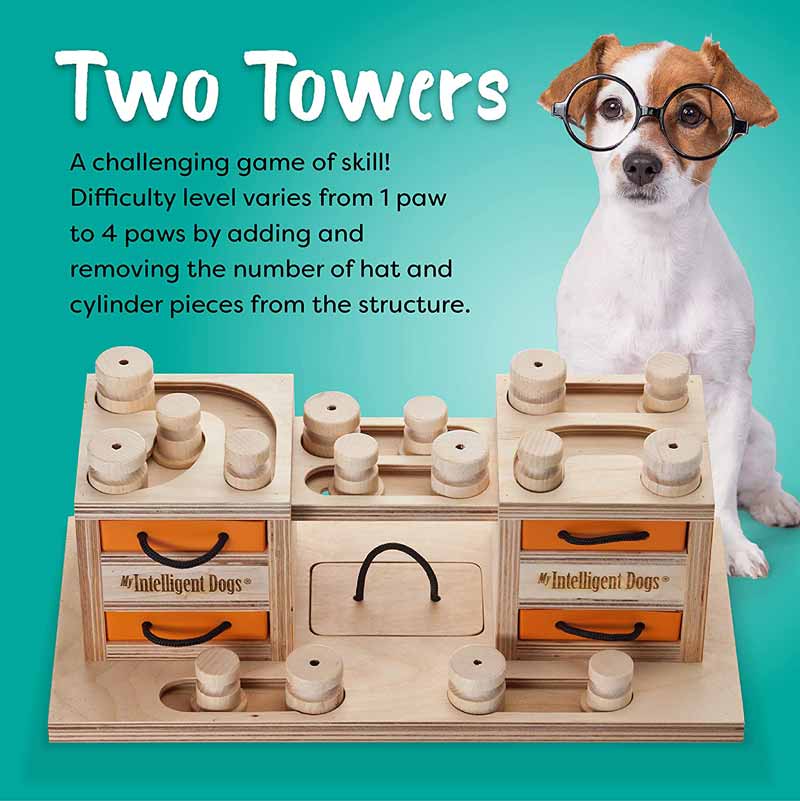 My Intelligent Pets Interactive Puzzle Game - Two Towers - CreatureLand
