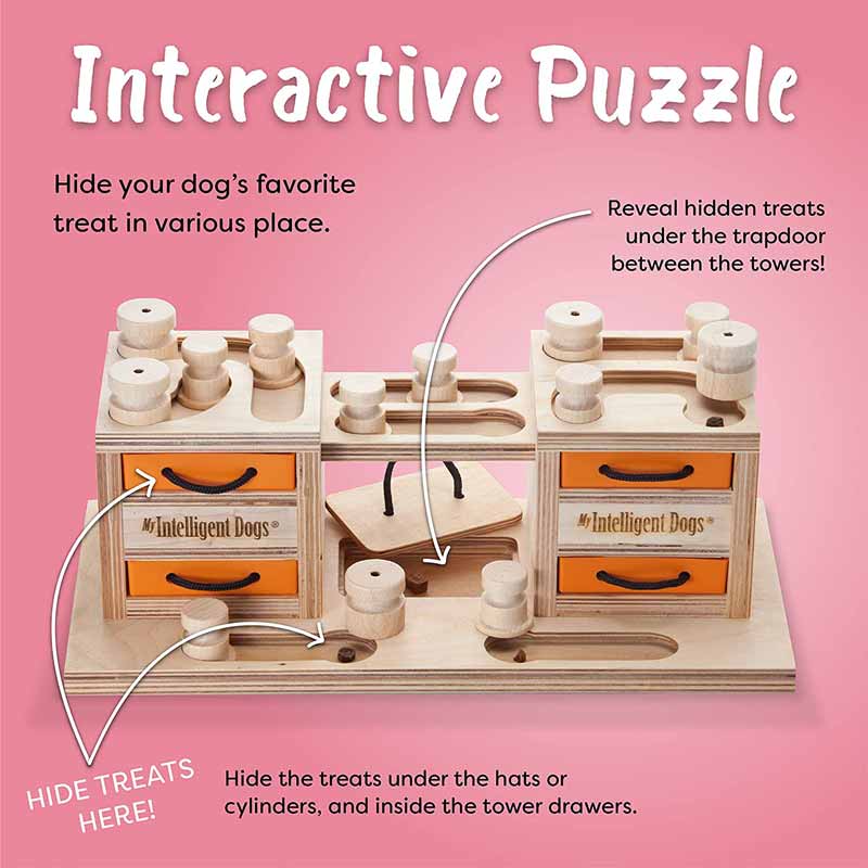 https://creaturelandstore.com/cdn/shop/products/my-intelligent-pets-interactive-puzzle-game-two-towers-990113.jpg?v=1620237636&width=800