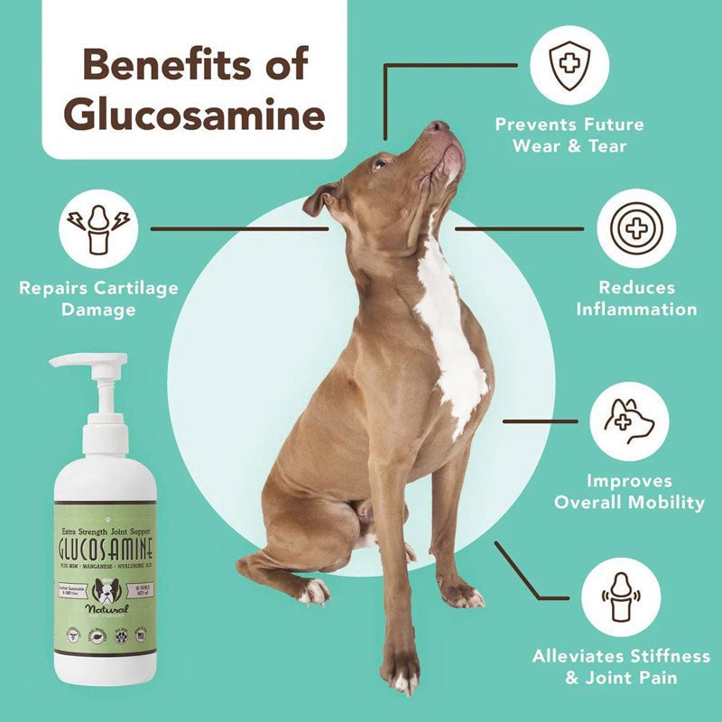 Glucosamine oil hot sale for dogs