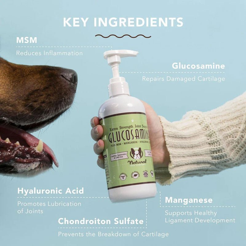 Natural Dog Company Hip & Joint Oil (16oz) - CreatureLand