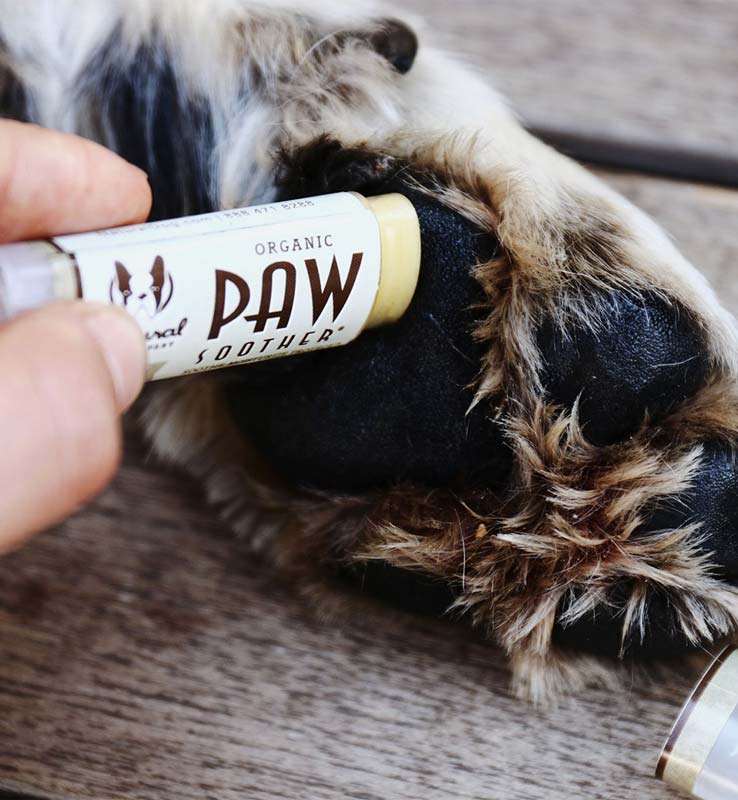 Natural dog store company paw soother