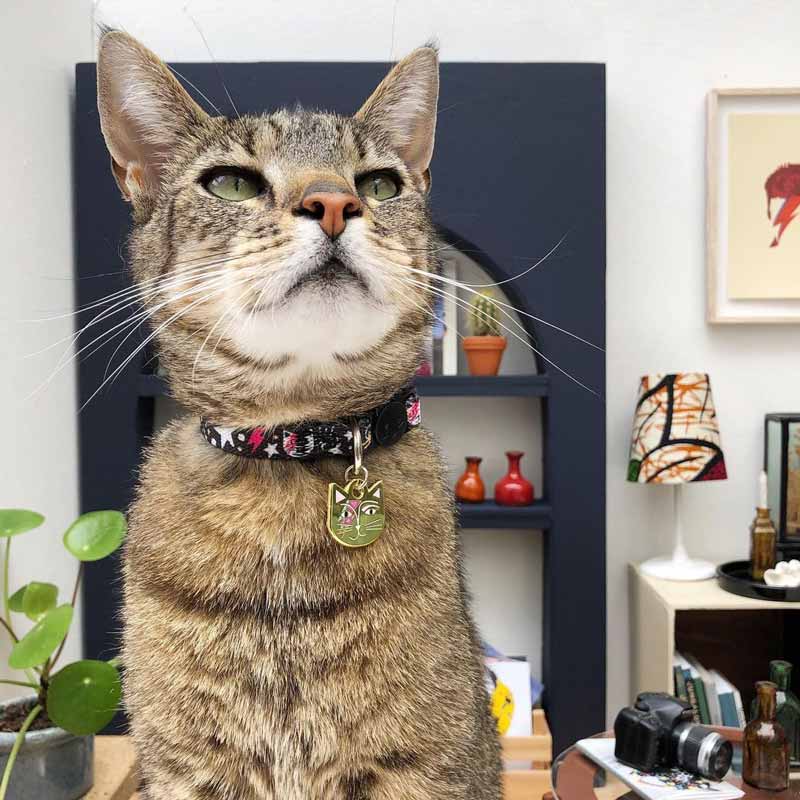 David bowie 2025 cat collar