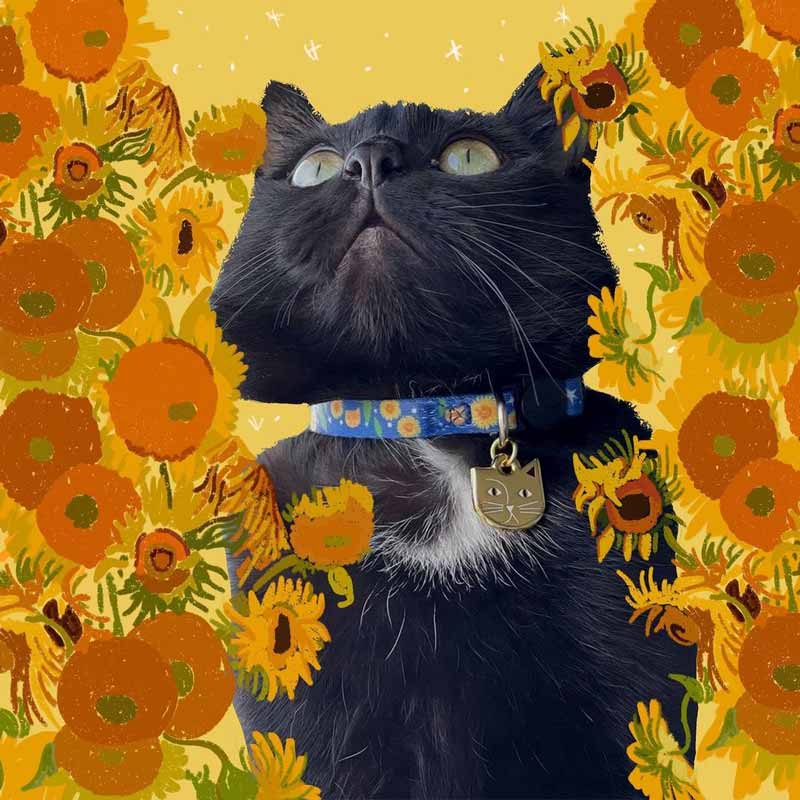 Niaski Vincat Van Gogh Artist Cat Collar - CreatureLand