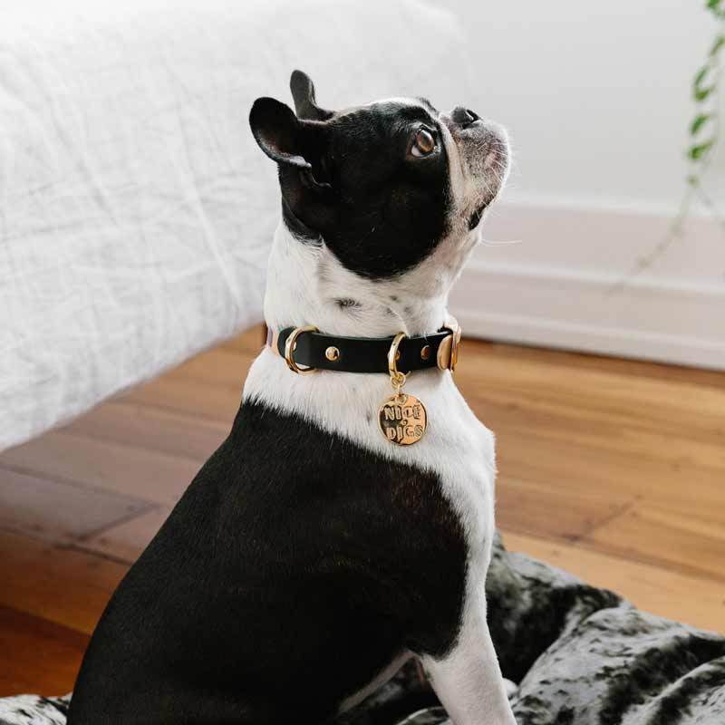 Nice Digs TWO TONE LEATHER DOG COLLAR -SHAPES - CreatureLand