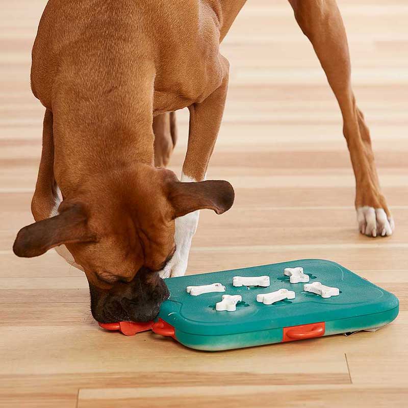 Pet Supplies : HOUNDGAMES Dog Puzzle Toys, for Boredom, for Smart