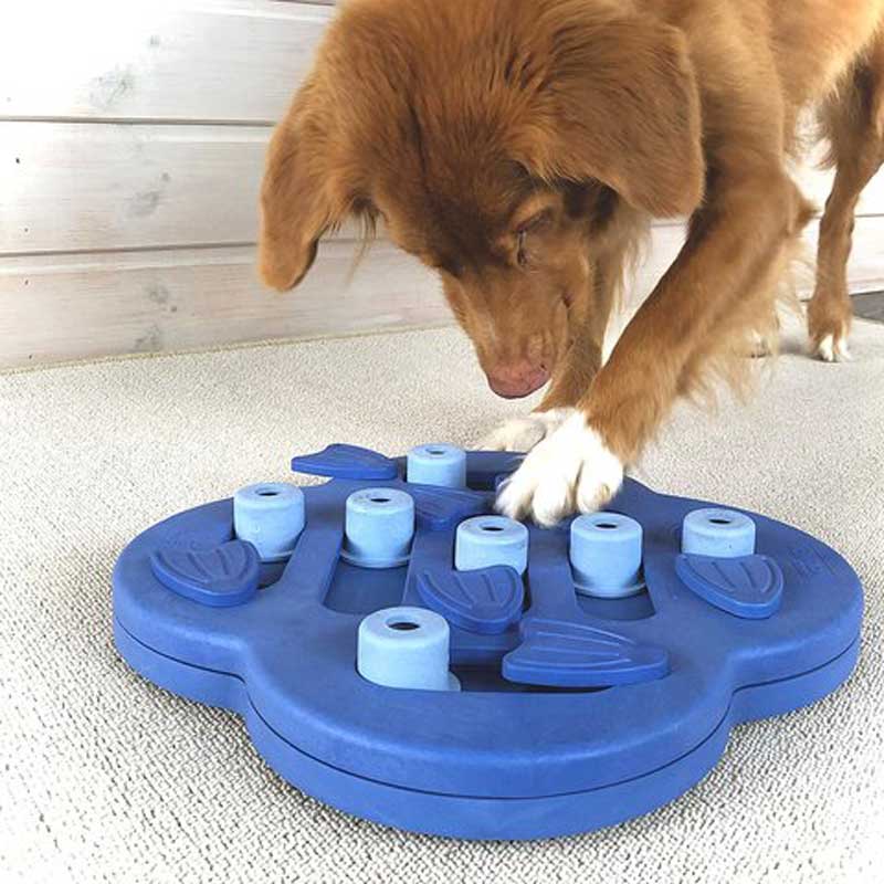 DOG HIDE N`SLIDE - COMPOSITE - Nina Ottosson Treat Puzzle Games for Dogs &  Cats