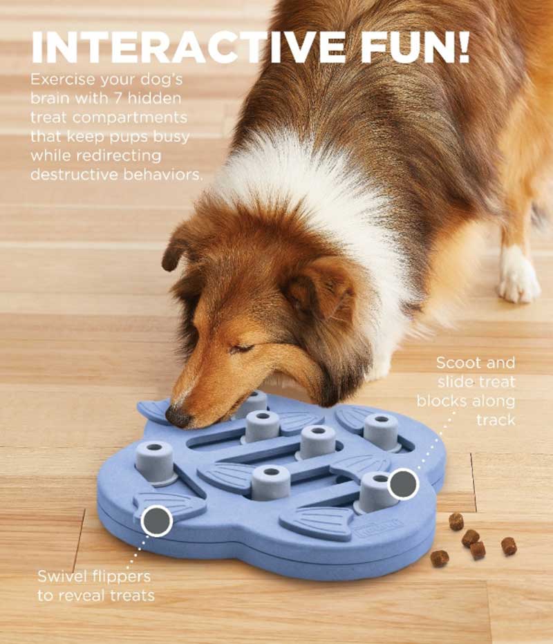 Nina Ottoson 15% OFF: Dog Hide N' Slide Strategy Game - Composite - CreatureLand