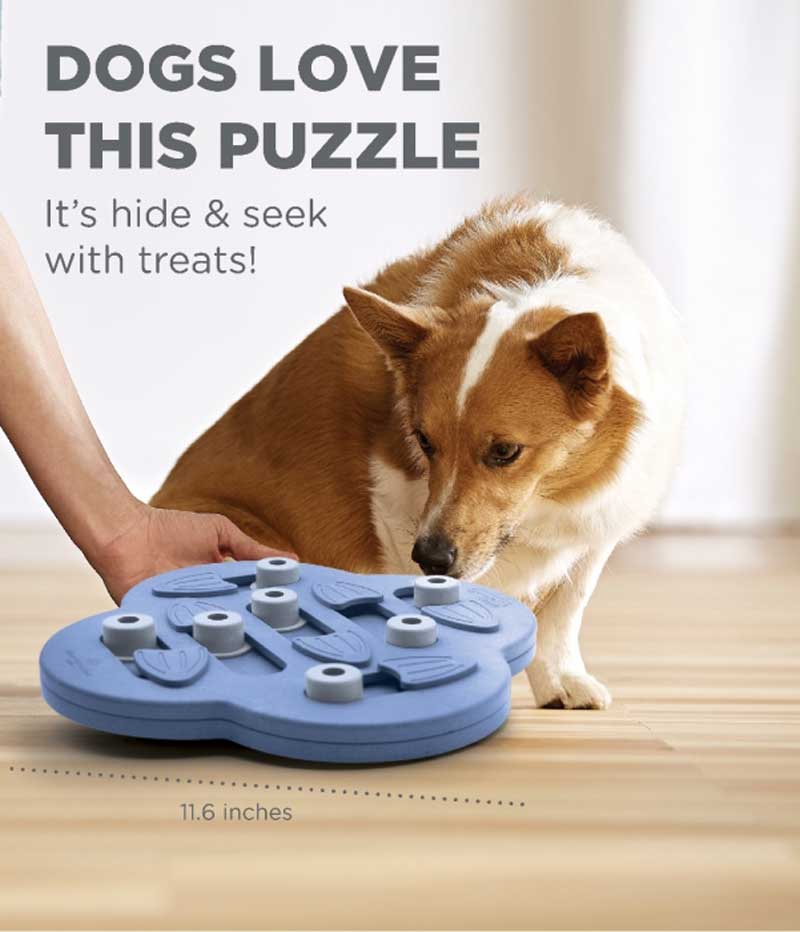 Dog Pet Feeder Bowl Bone Shape Fun Puzzle Treat Slow Feeding Interactive  Fun Game for Your Dog Play Hide N Seek With Treats 