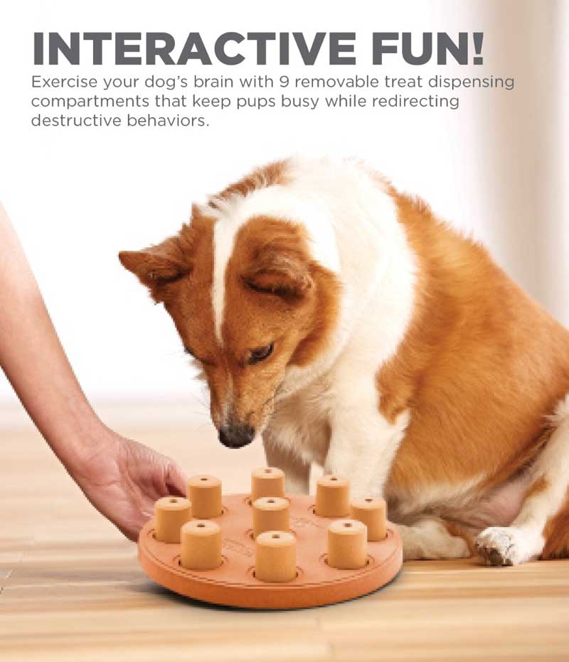 Nina Ottoson 15% OFF: Dog Smart Strategy Game - Composite - CreatureLand