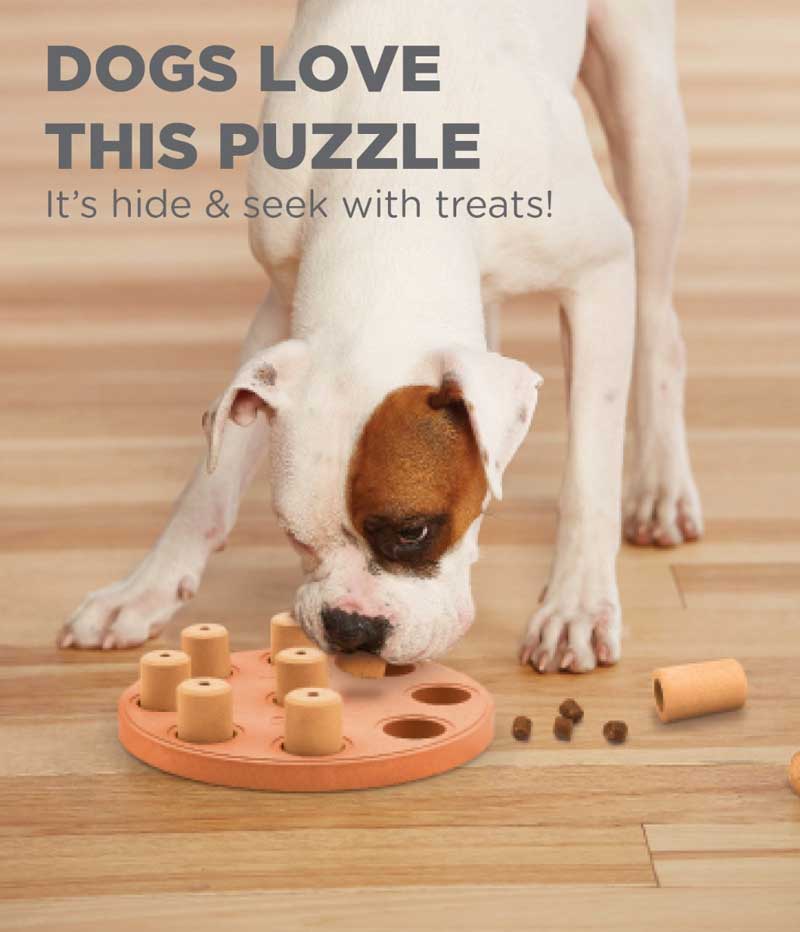 MULTIPUZZLE - DOG PUZZLE GAME - Nina Ottosson Treat Puzzle Games for Dogs &  Cats