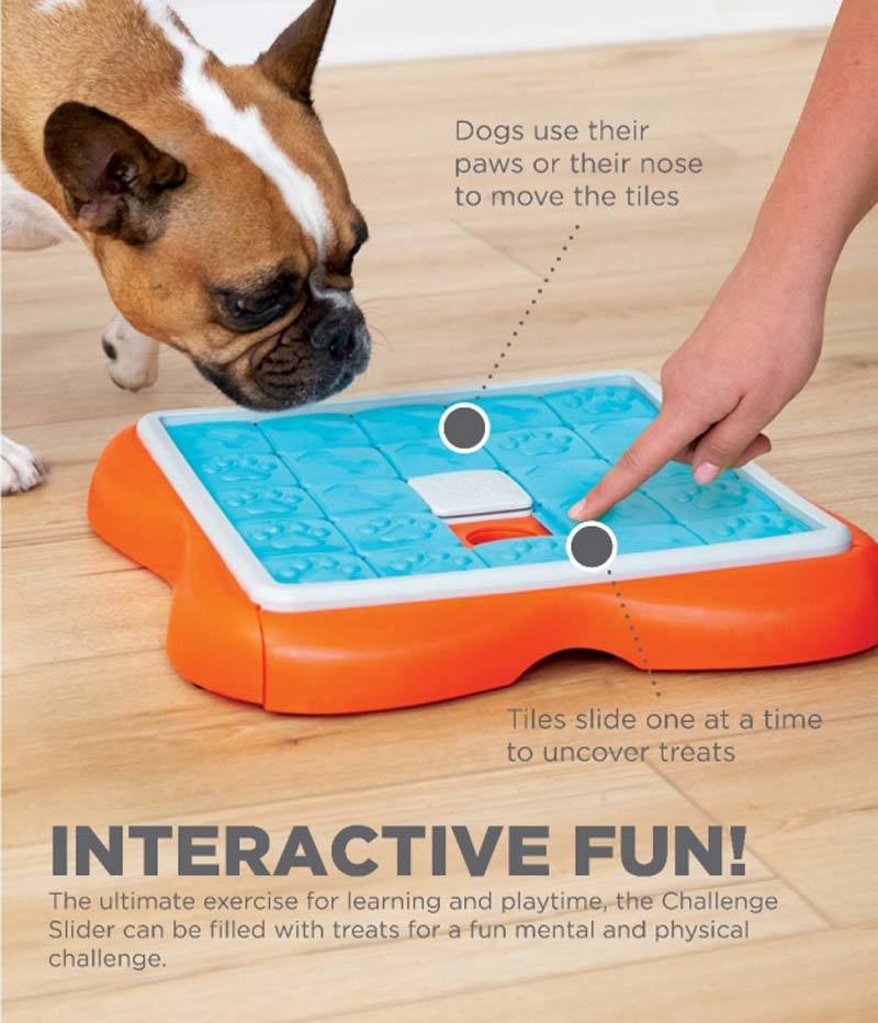 Dog twister interactive outlet game