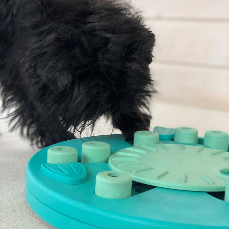 Outward Hound Brick Treat Puzzle Dog Toy - Feeders Pet Supply