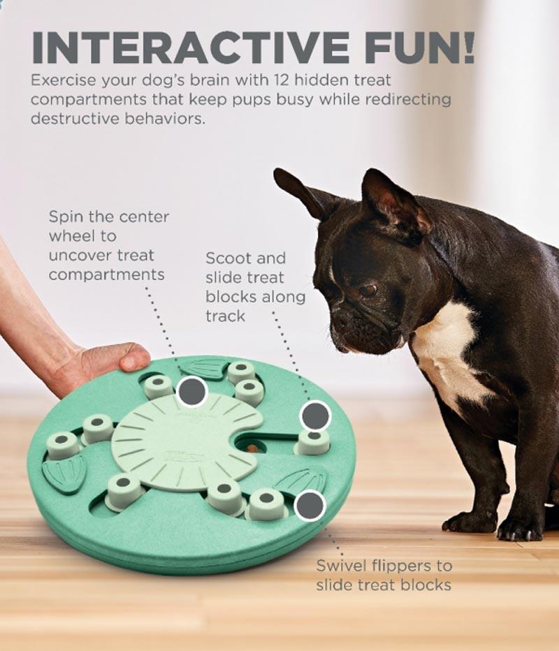 Outward Hound Challenge Slider - Brain Games for your dog! 