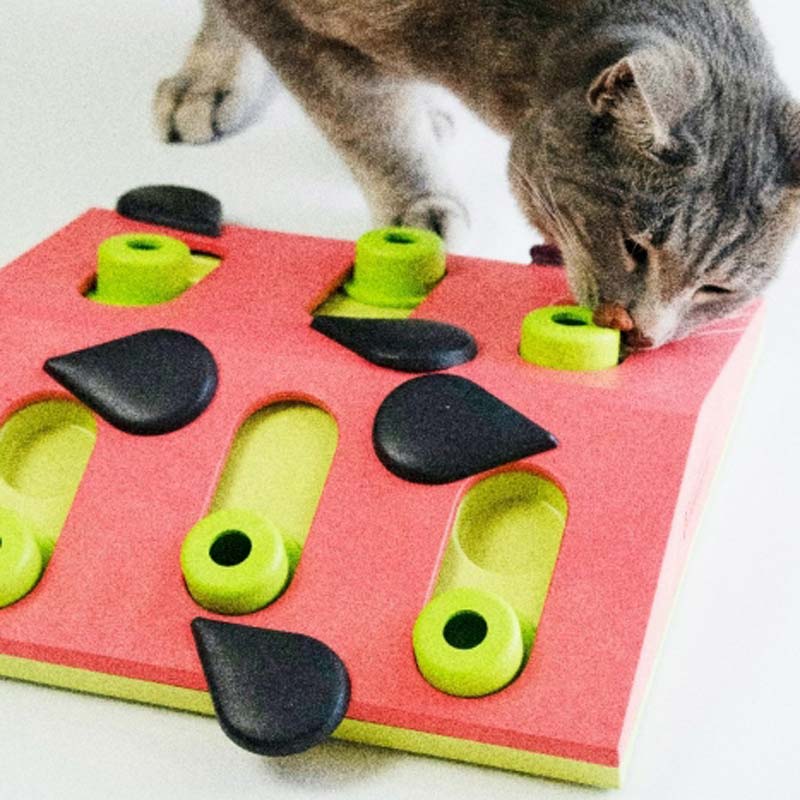 Nina Ottosson Puzzle & Play Melon Madness Cat Puzzle