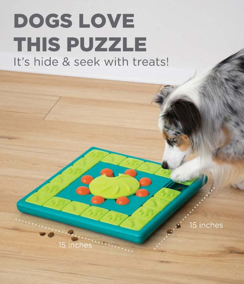 Pet Supplies : Outward Hound Nina Ottosson Dog Brick Interactive Treat  Puzzle Dog Toy, Intermediate 