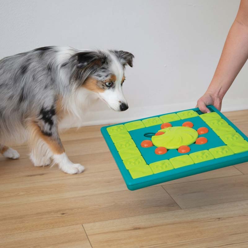 Outward Hound Nina Ottosson Puppy Dog Treat Puzzle- Level 3 (Advanced)