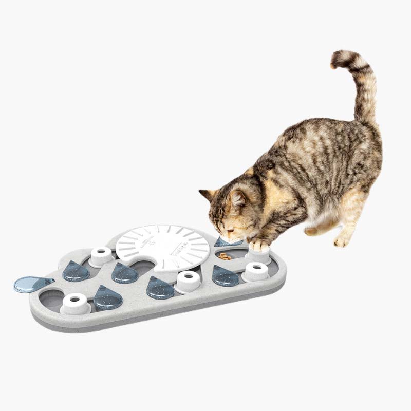 Nina Ottosson by Petstages Melon Madness Puzzle & Play - Interactive Cat  Treat Puzzle : : Pet Supplies