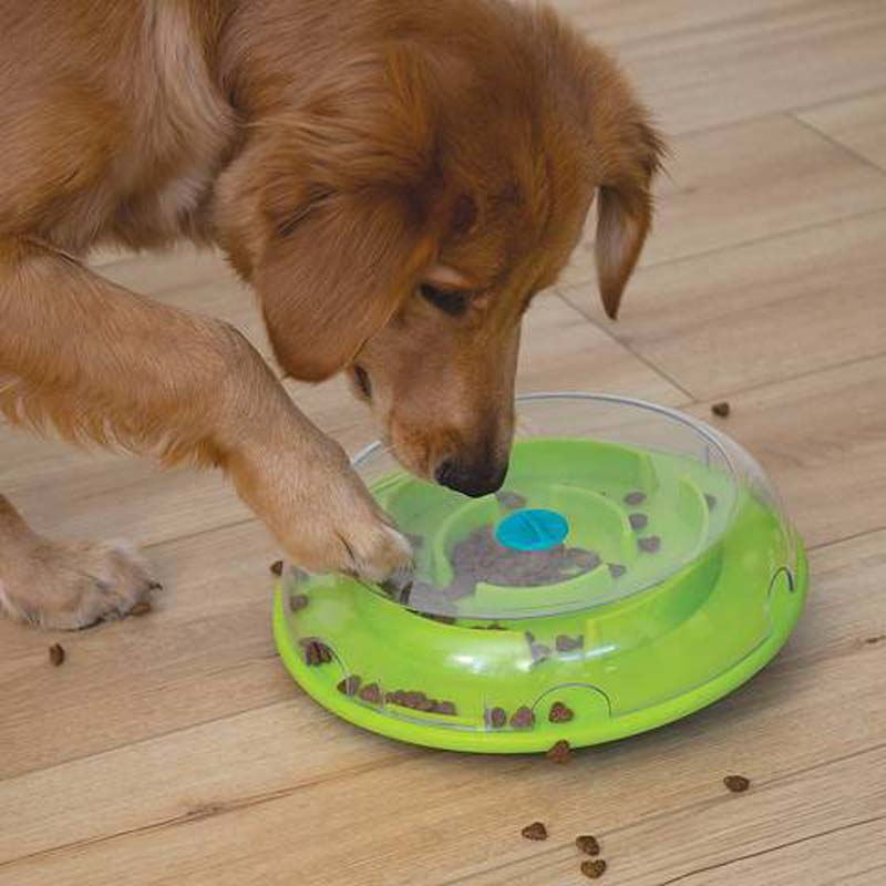 https://creaturelandstore.com/cdn/shop/products/nina-ottosson-wobble-bowl-slow-feeder-dog-puzzle-in-one-385935.jpg?v=1608350656&width=800