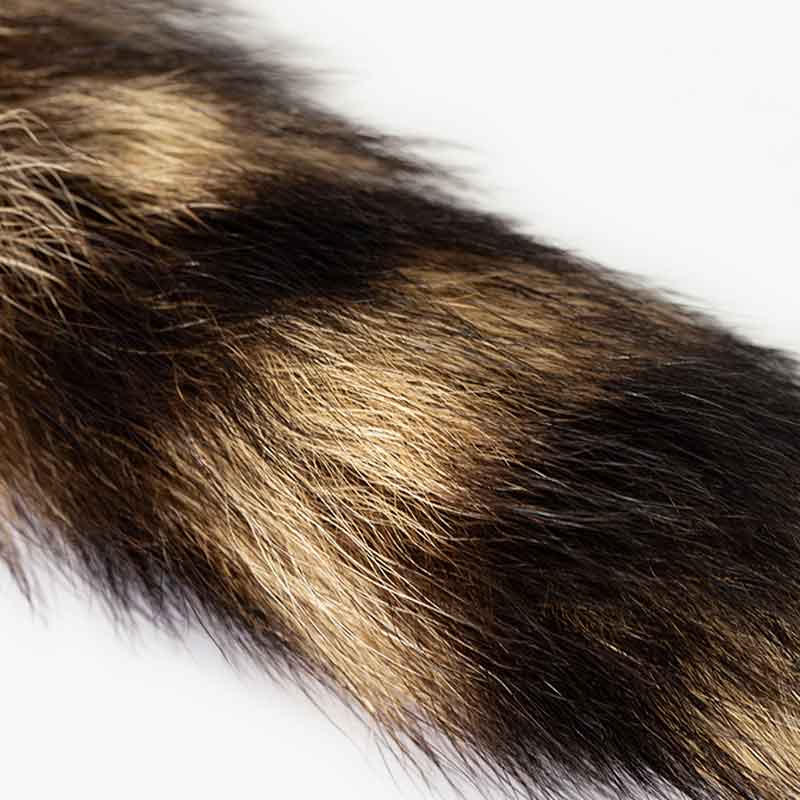 OCE Tabby Tail Cat Teaser - CreatureLand