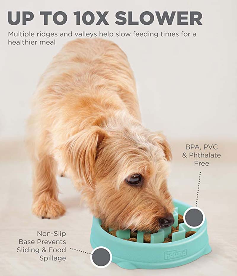 Petstages Slow Feed Teal Dog Bowl, 3 Cup