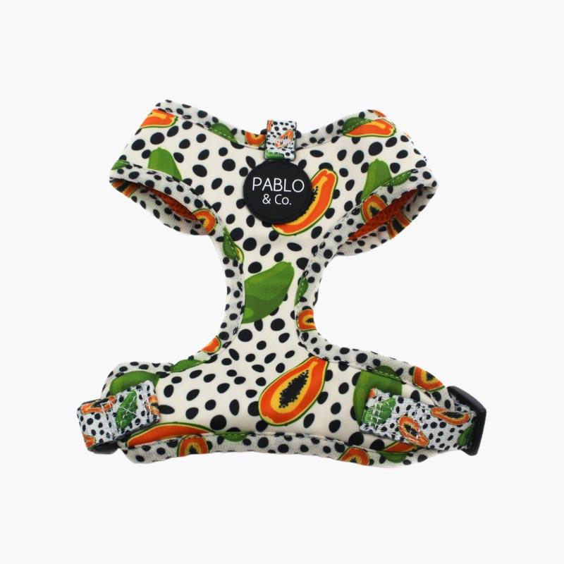 PABLO & Co. Adjustable Harness - Papaya - CreatureLand
