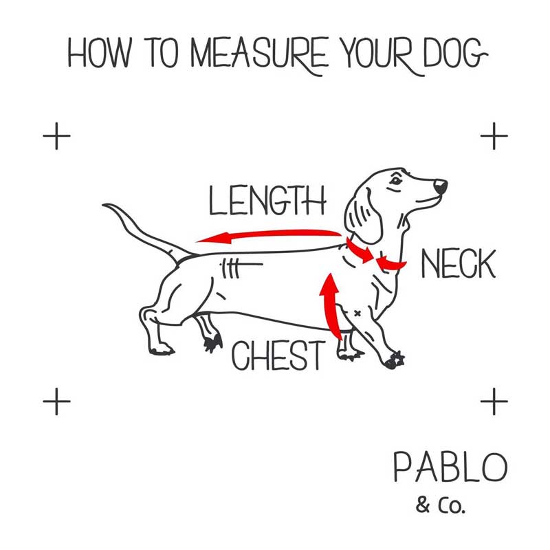 PABLO & Co. Adjustable Harness - Sausage Sizzle - CreatureLand