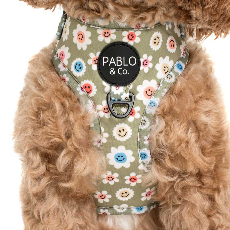 PABLO & Co. Adjustable Harness - Smiley Flowers - CreatureLand