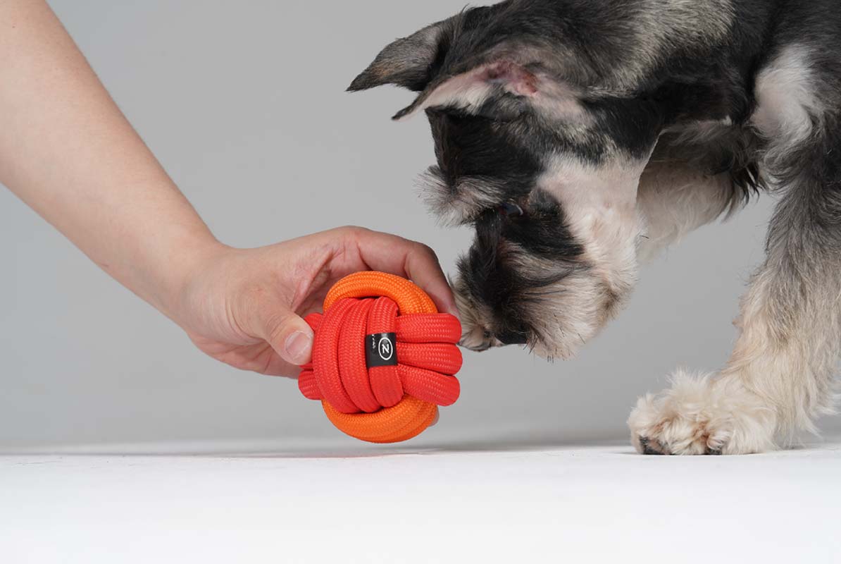 Pawzcity Neon City Rope Ball Dog Toy (5 Colours) - CreatureLand