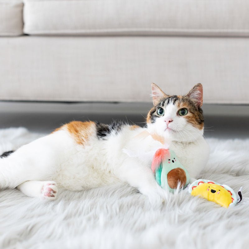 Pearhead Taco Time Cat Toy Set - CreatureLand