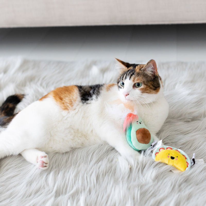 Pearhead Taco Time Cat Toy Set - CreatureLand