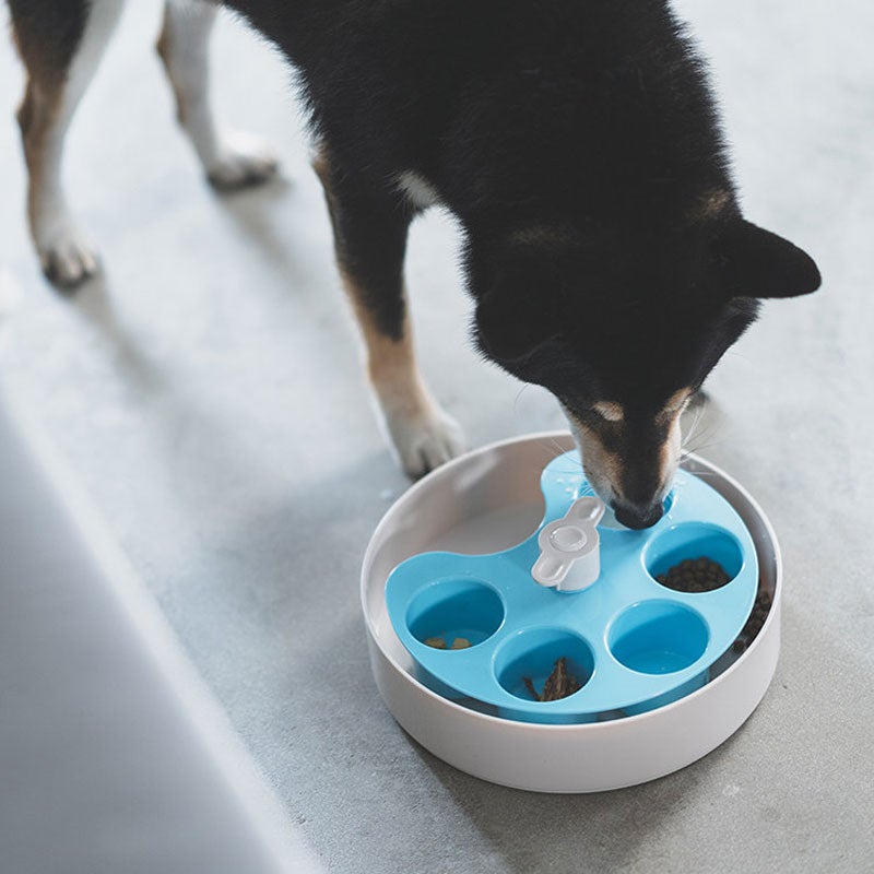 Interactive pet outlet feeder