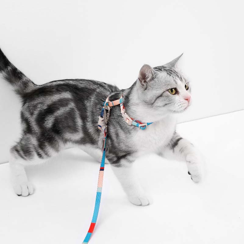 Petshy Cat Harness and Leash Set (3 Colours) - CreatureLand