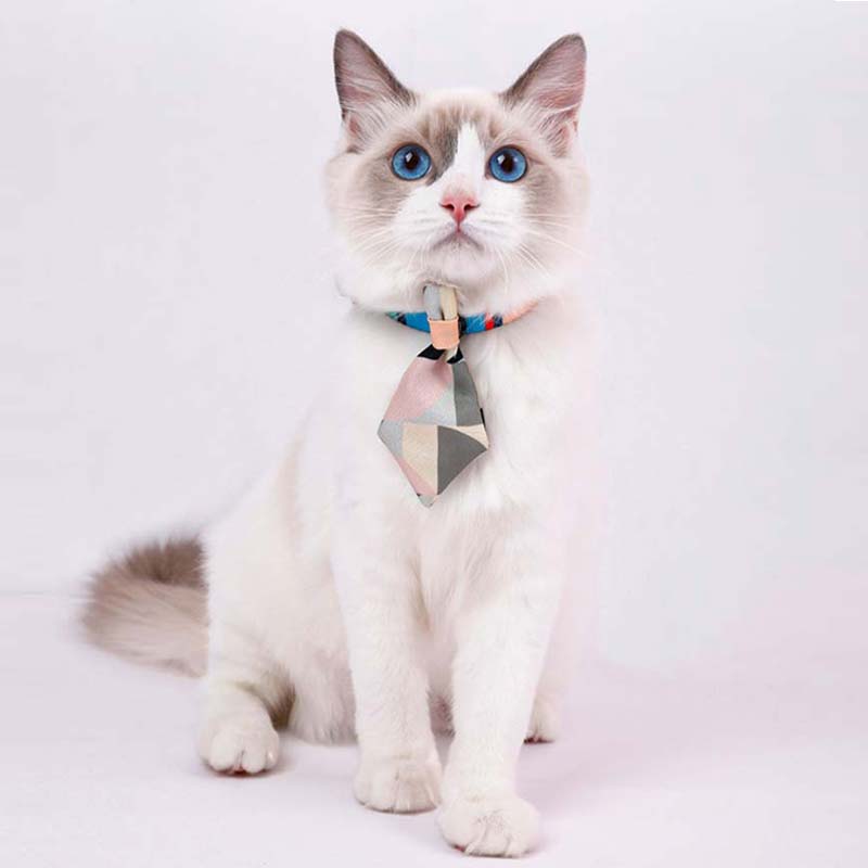 Petshy Cat Tie Collar (3 Colours) - CreatureLand