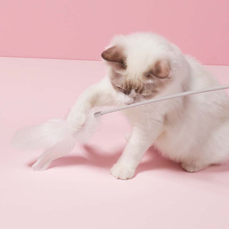 Petshy Feather Wand Cat Teaser (3 colours) - CreatureLand
