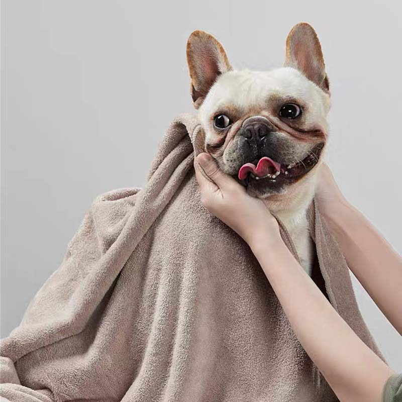 Petshy Instant Absorbent Microfibre Bath Towel (2 Sizes) - CreatureLand