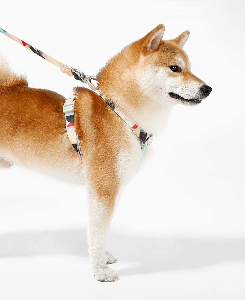 Petshy Nylon Step In Dog Harness (3 Colours) - CreatureLand