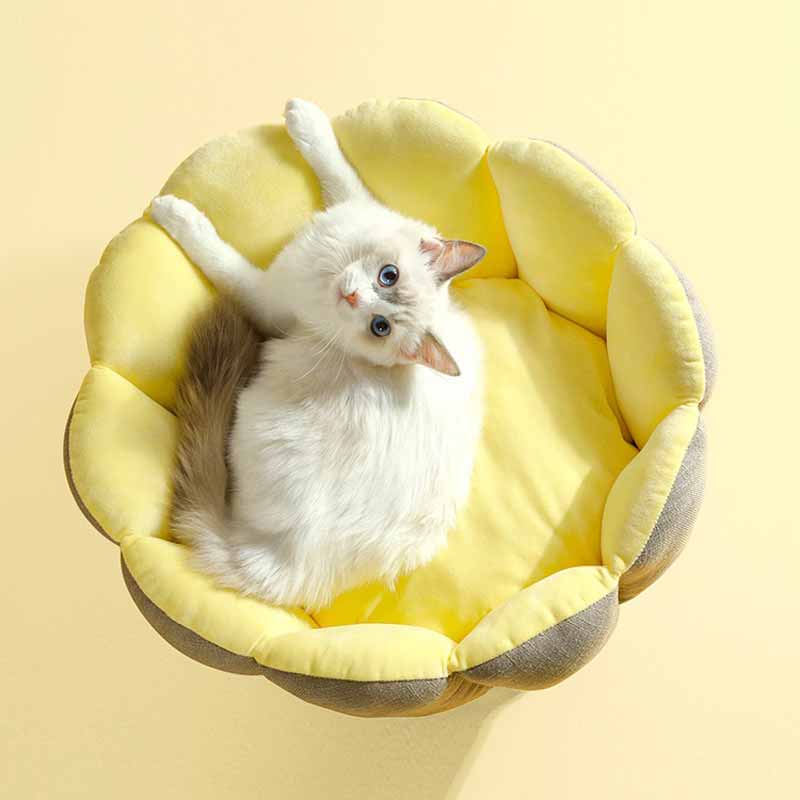 Petshy Shell Pet Bed - CreatureLand