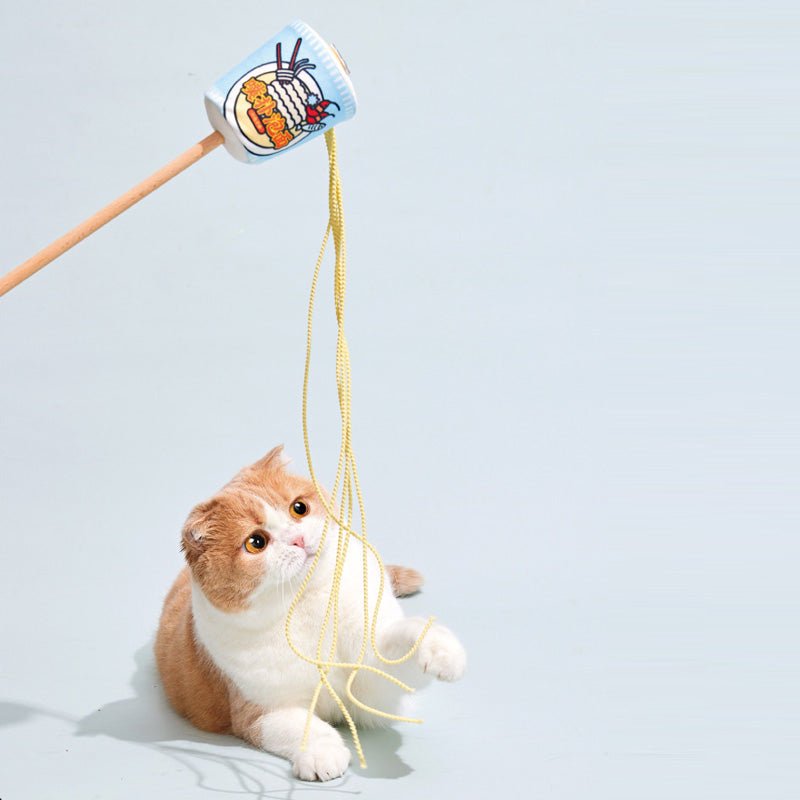 Cat hotsell noodle toy