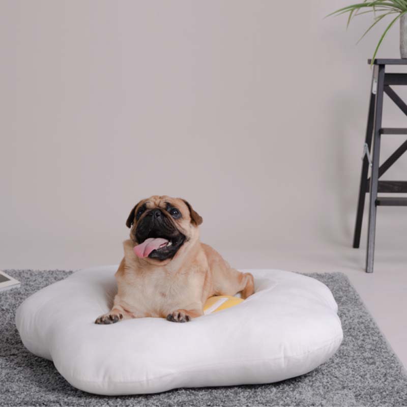 PurLab Sunny Side Pet Bed - CreatureLand
