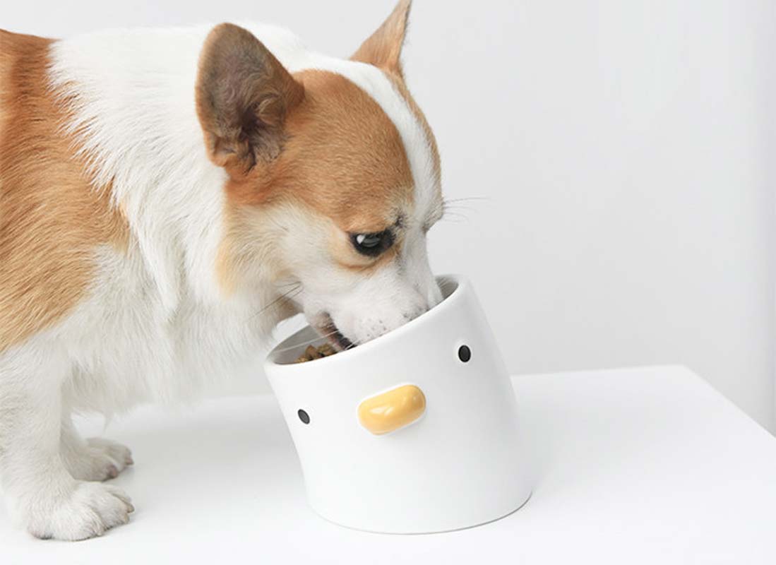 Purroom [ Pre-Order ] Little Chick Ceramic Pet Food Bowl (2 Sizes) - CreatureLand
