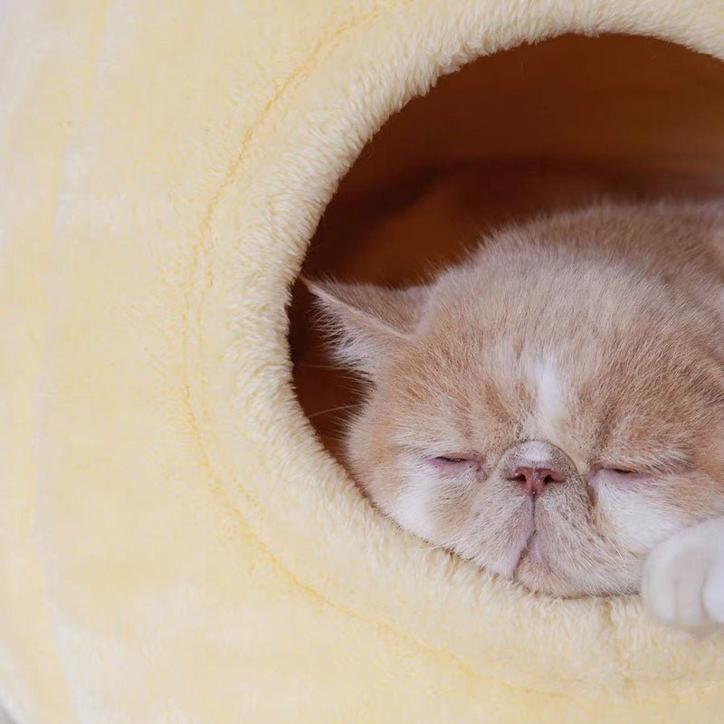 Purroom Pudding Cosy Nest Pet Bed - CreatureLand
