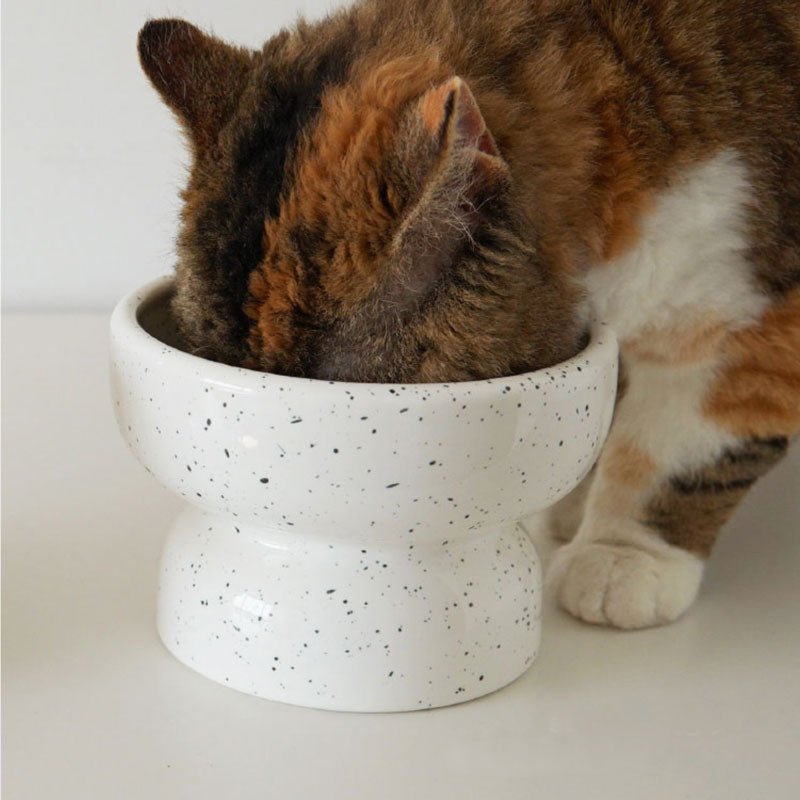 Elevated pet outlet food bowls