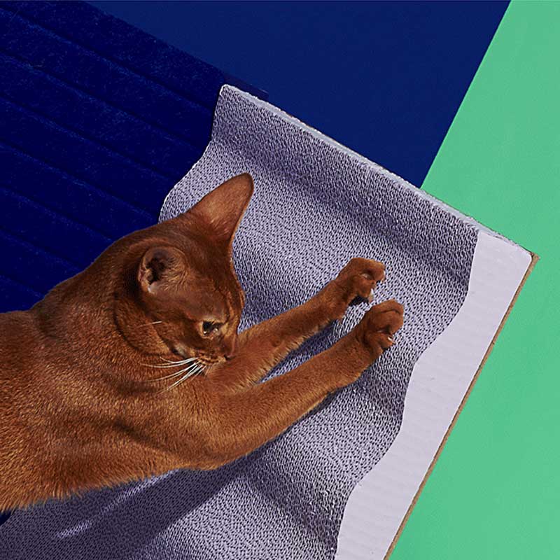 Purrre 3-Dimensional Cat Scratcher (2 Colours) - CreatureLand