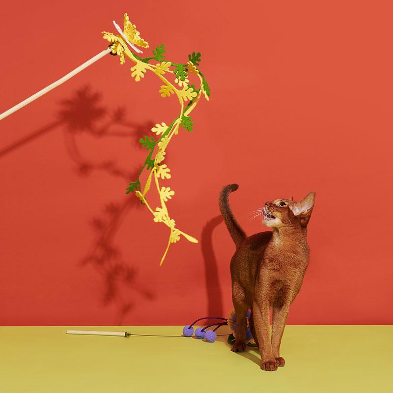Purrre Blooming Cat Teaser (6 Designs) - CreatureLand