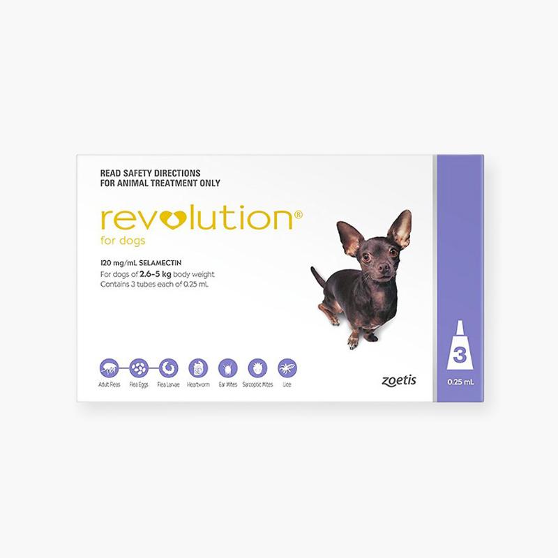 Revolution Heartworm, Flea & Tick Spot-On For Extra Small Dogs (2.6 - 5kg) - CreatureLand