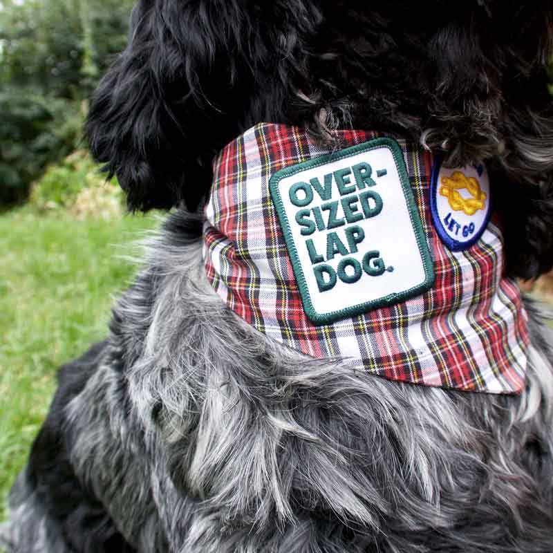 Scout's Honour Oversized Lap Dog Merit Badge - CreatureLand
