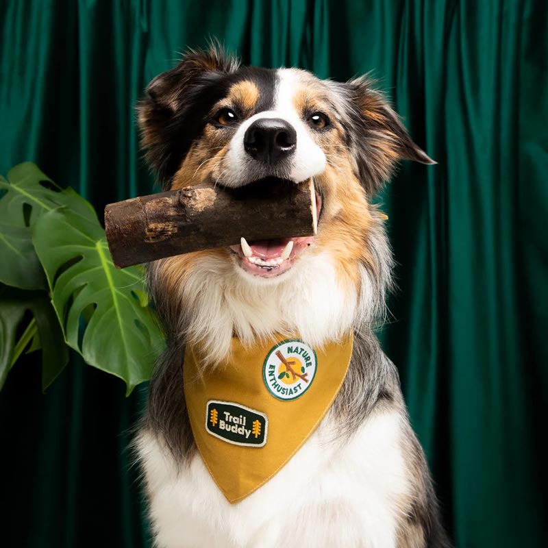 Scout's Honour Trail Buddy Merit Badge - CreatureLand