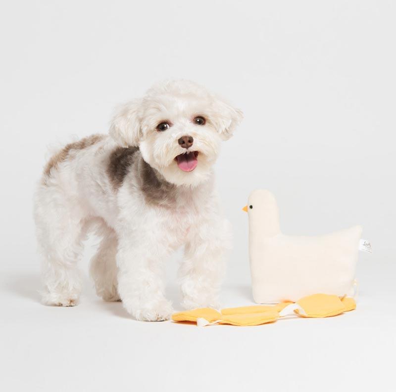 Sniff's Friends Golden Goose Nose Work Toy - Ivory - CreatureLand